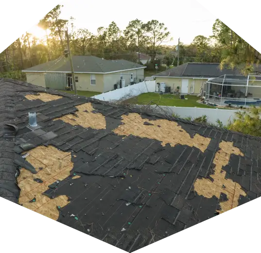 Visible wind damage from a hurricane