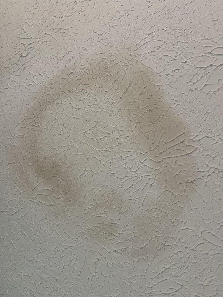 water spots on ceiling
